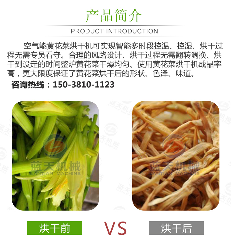 黃花菜網(wǎng)帶烘干機(jī)產(chǎn)品簡(jiǎn)介