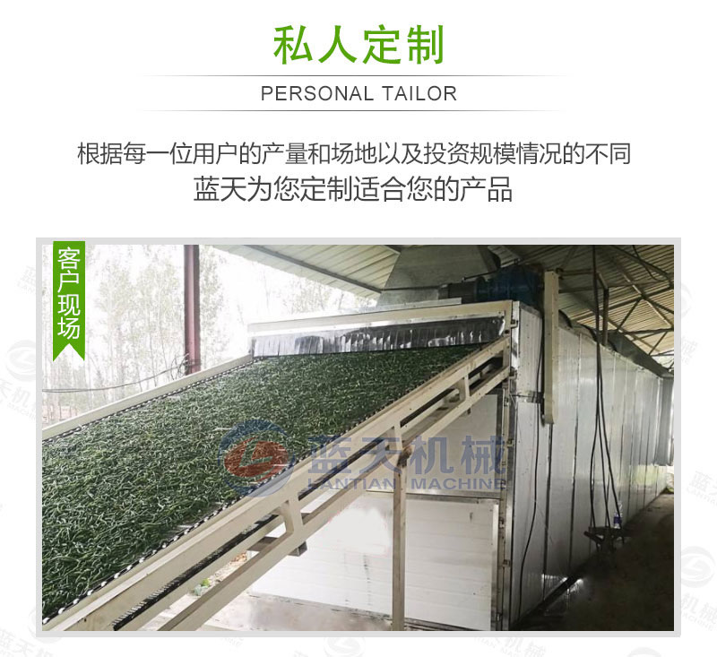 豆角網(wǎng)帶烘干機(jī)私人定制