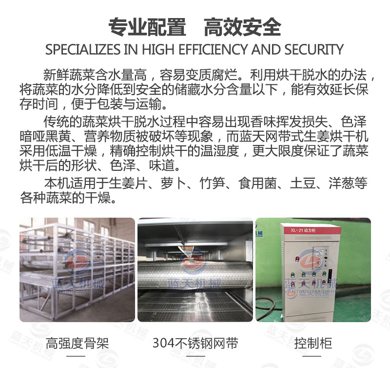 生姜片網(wǎng)帶烘干機(jī)專業(yè)配置