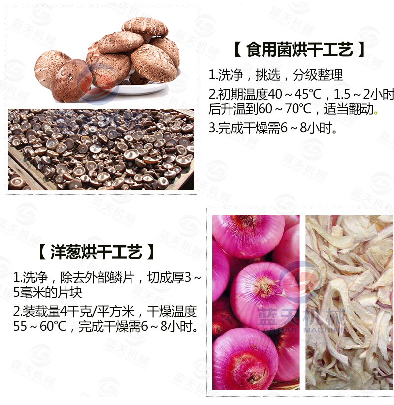 生姜片網(wǎng)帶烘干機(jī)常見烘干工藝