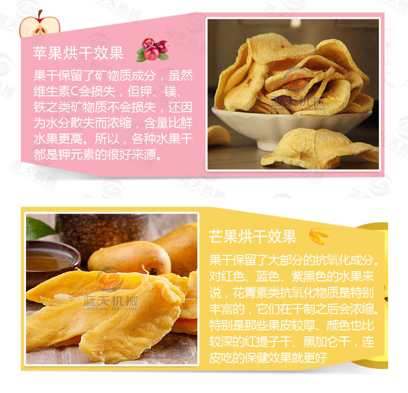 檸檬片網(wǎng)帶烘干機(jī)烘干產(chǎn)品