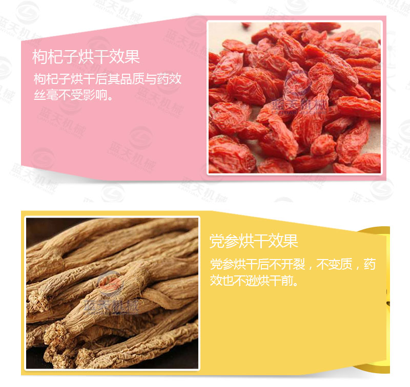 連翹網帶式烘干機產品烘干介紹